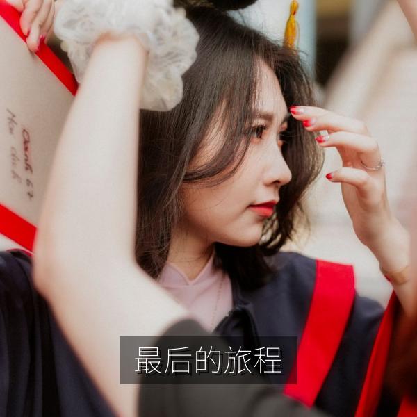 最后的旅程电影海报